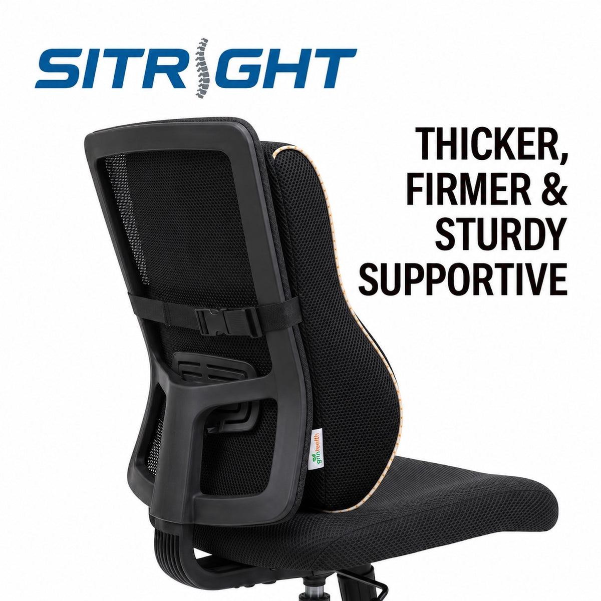 SitRight Lumbar Back Support
