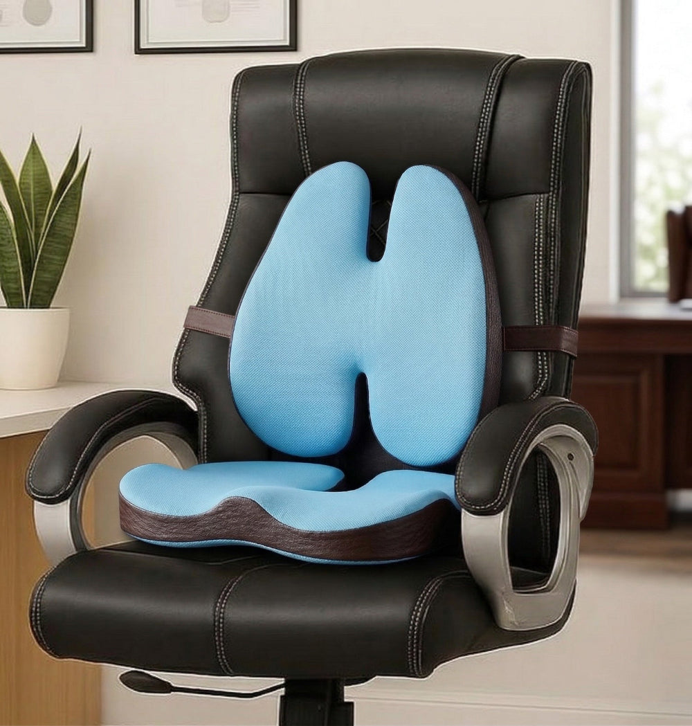 SitPlus Executive Luxury Boss Chair All Day Seating Combo (Dense and Supportive)