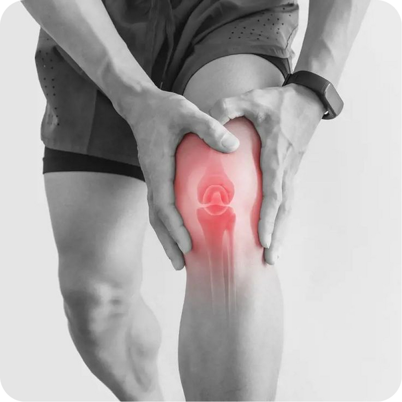 Knee Pain