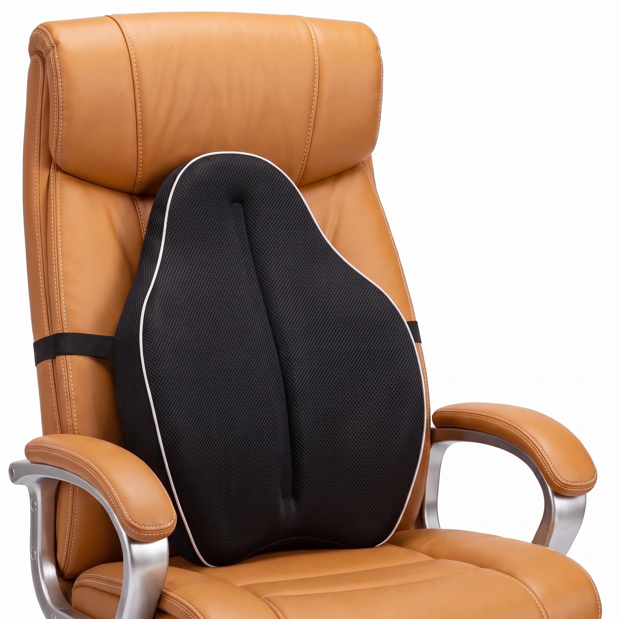 Backrest Plus X-Large Back Support