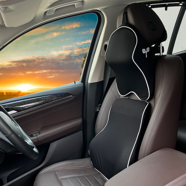 Car Backrest Lumbar Support & Car Neck Pillow Kit (Large Plus)