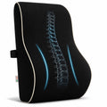 SitRight Lumbar Back Support