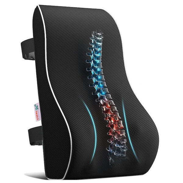 SitRight Full Lumbar Back Support