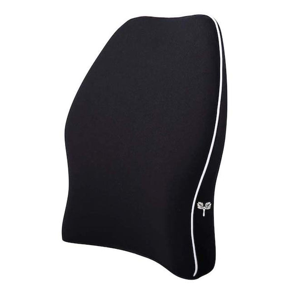 SitRight Pro Medium Backrest Lumbar Support Cushion (C2, Black)